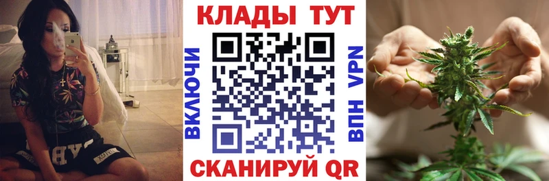 Как найти закладки Волгореченск MEGA ONION Канабис