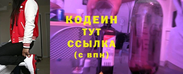 прущие крисы Бородино