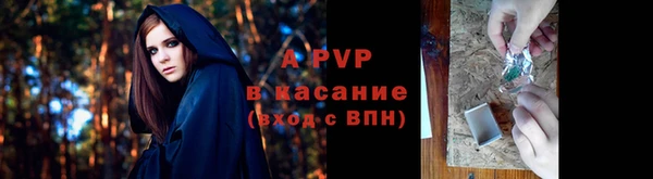Альфа ПВП Бугульма