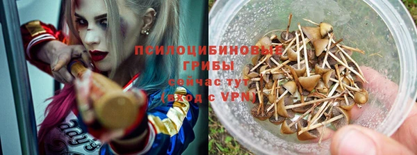 прущие крисы Бронницы